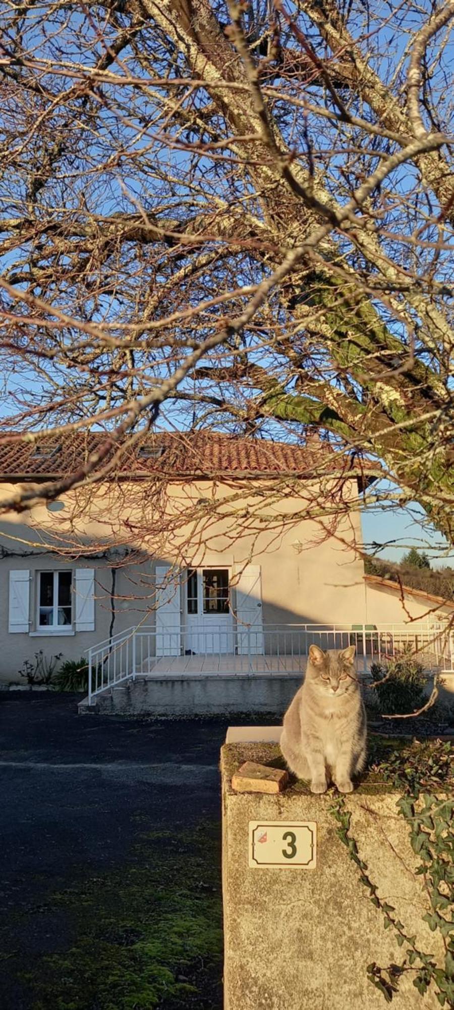 La Mesange Bleue Bed & Breakfast Ecuras Bagian luar foto